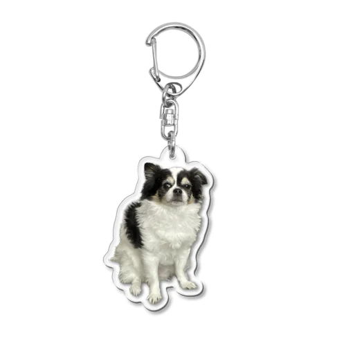 胸毛がすごいチワワ Acrylic Key Chain