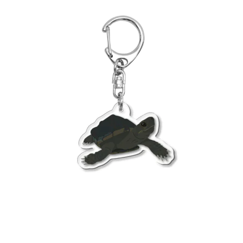 黒化クサガメ Acrylic Key Chain