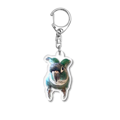 ウロコインコの翠ver.MAJIで羽ばたく5秒前 Acrylic Key Chain
