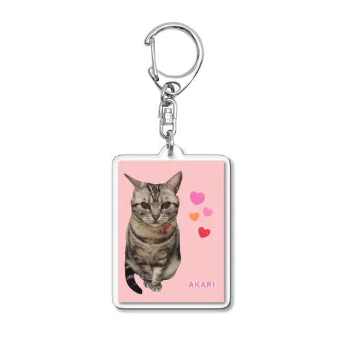 アメショのアカリちゃん(REALver) Acrylic Key Chain