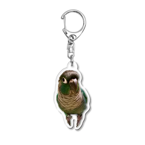 ウロコインコの翠【おすましver】 Acrylic Key Chain