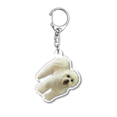 顔がつよいお犬さま Acrylic Key Chain