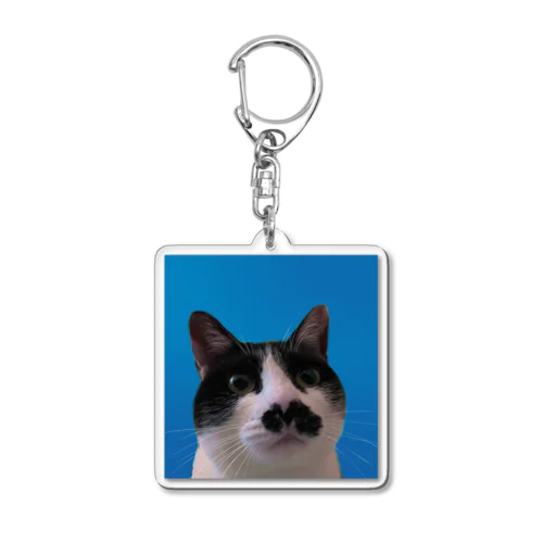 ざびちゃん証明写真 Acrylic Key Chain