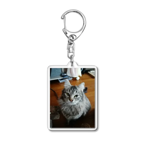 あむくん Acrylic Key Chain