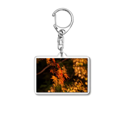 ライトアップ紅葉 - Japanese maple(night shot) - Acrylic Key Chain