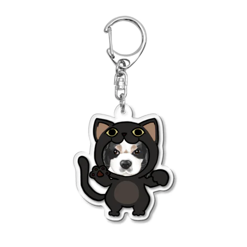 maruku Acrylic Key Chain