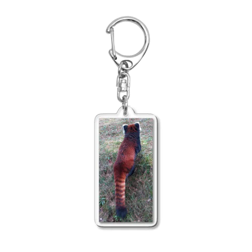 小熊猫（レッサーパンダ） Acrylic Key Chain