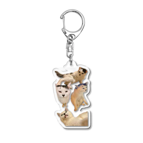 Kotsubu 猫 Acrylic Key Chain