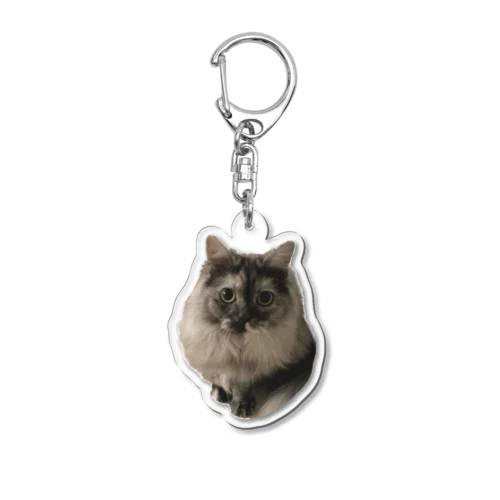 可愛いモフ猫 Acrylic Key Chain