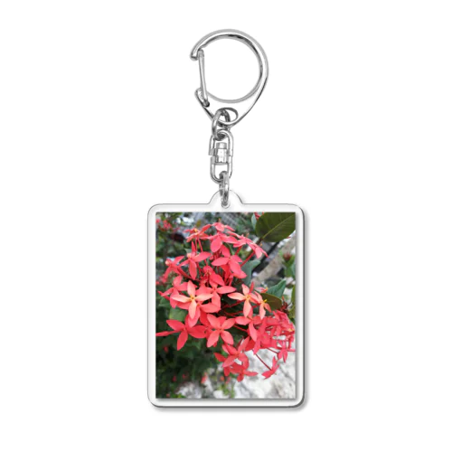 紅花 Acrylic Key Chain