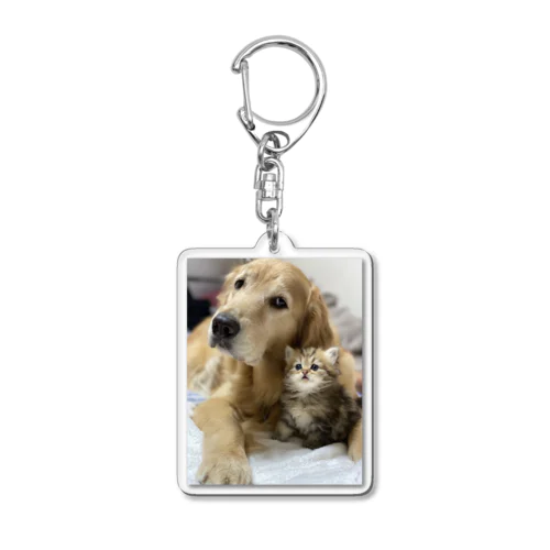 まり仔猫ドック Acrylic Key Chain