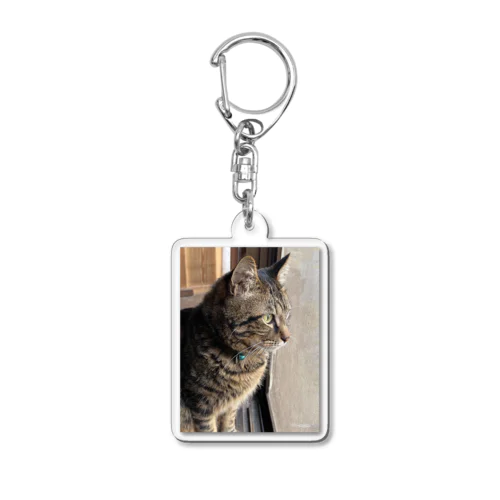 保護猫そばくん Acrylic Key Chain