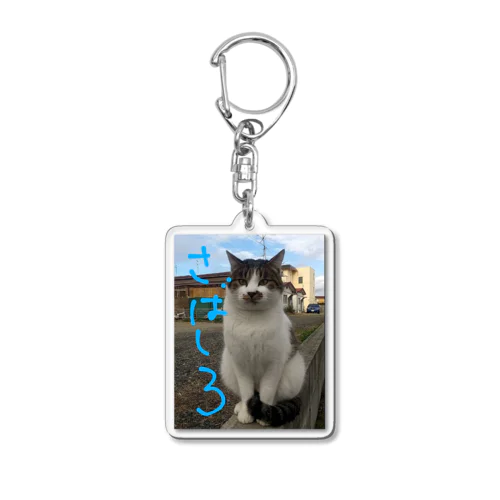 ミケ猫一族  さばしろ Acrylic Key Chain