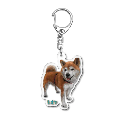 柴犬レオン君 Acrylic Key Chain