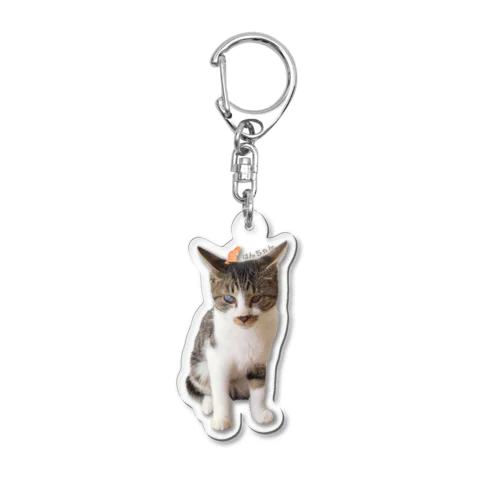 癒しのけんちゃんby黒豆猫 Acrylic Key Chain