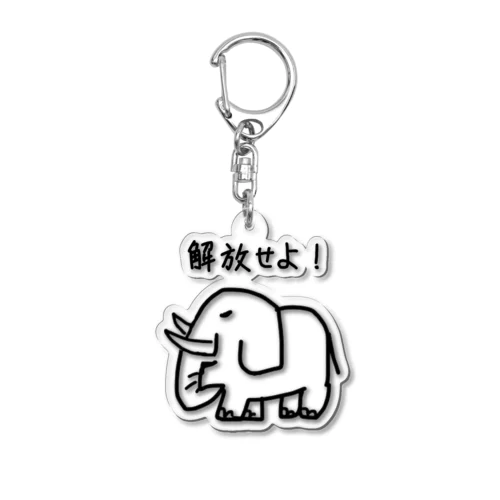 TYKE-2 ごんぎさんプロデュース (日本語ロゴ) Acrylic Key Chain