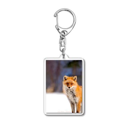 Nature of Hokkaido(Fox) Acrylic Key Chain