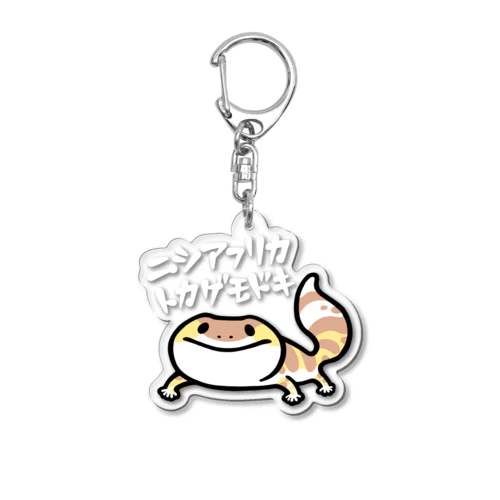 ニシアフリカトカゲモドキ Acrylic Key Chain