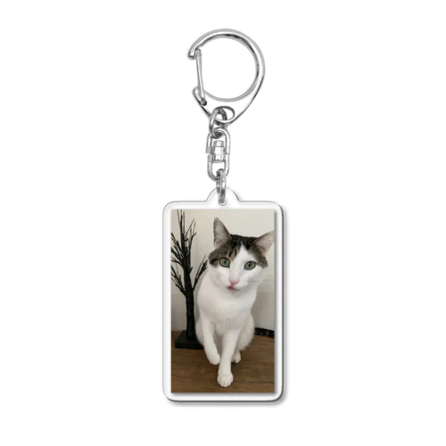 猫の紋さん(ペロリ) Acrylic Key Chain