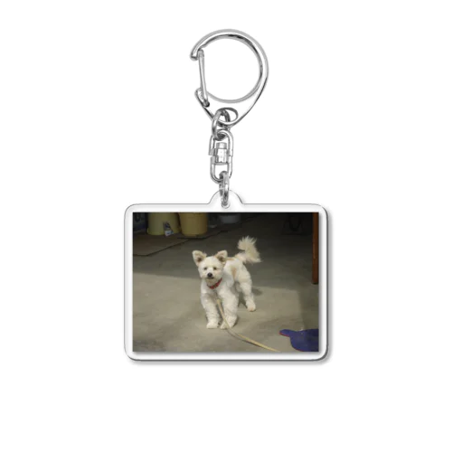 たまさん Acrylic Key Chain