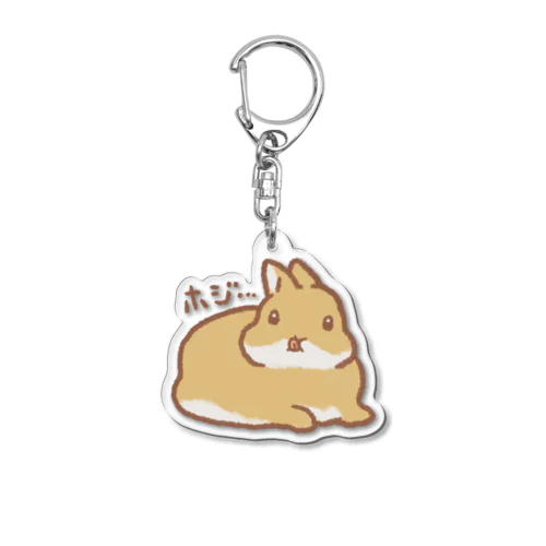 ホジ… Acrylic Key Chain