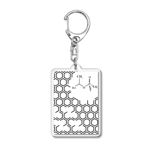 HEXAGON-keyholder Acrylic Key Chain