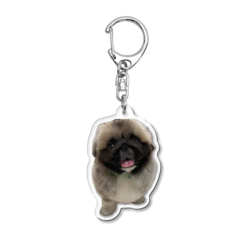 にっこりぽんちゃん🐾 Acrylic Key Chain