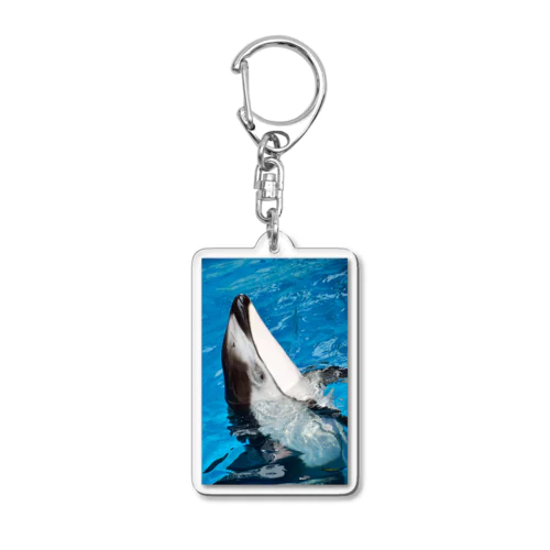 カマイルカ Acrylic Key Chain