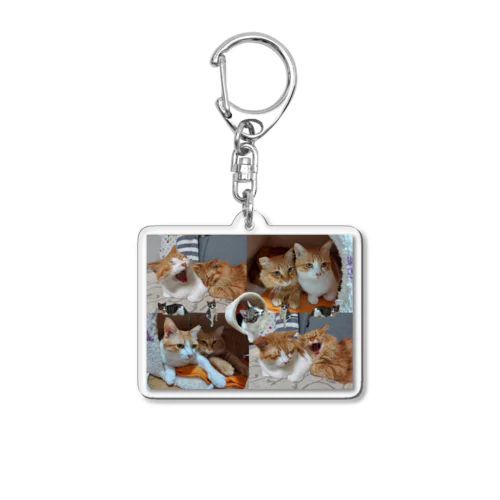 かぶちょもぐーぐー(=^..^=)(=^..^=)(=^..^=) Acrylic Key Chain