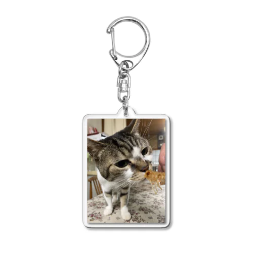 猫 Acrylic Key Chain