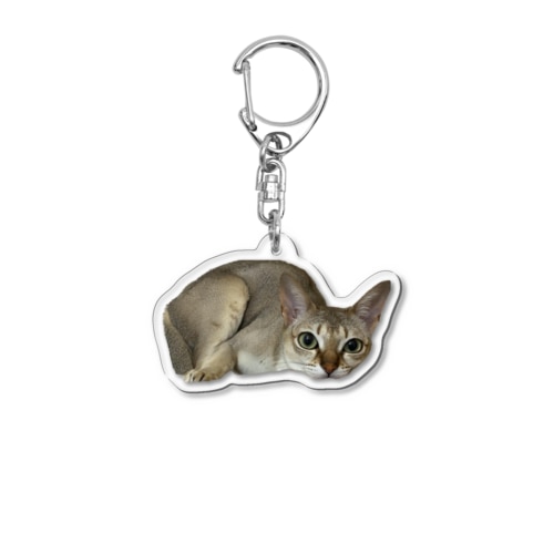 darui Acrylic Key Chain