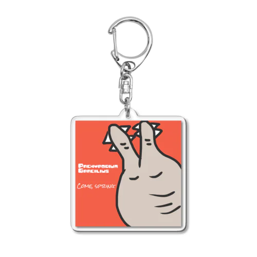 Pachypodium Gracilius  Acrylic Key Chain