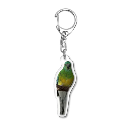 ビセイインコ Acrylic Key Chain