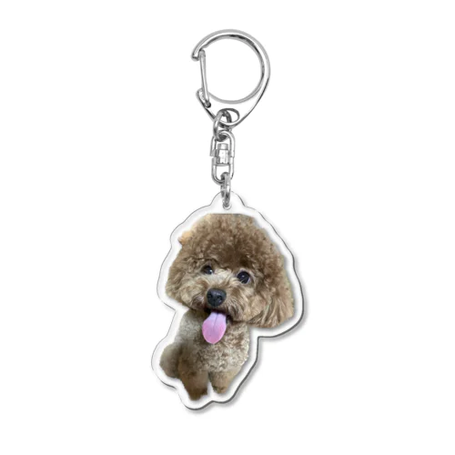 チラ見トイプードル Acrylic Key Chain