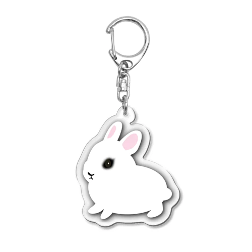 ネザーランドドワーフ　ホト Acrylic Key Chain