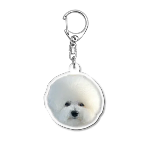 お疲れのセトくん Acrylic Key Chain