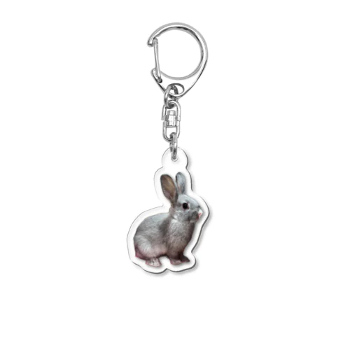 ミニウサギのカグ Acrylic Key Chain