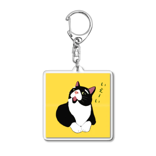 穏やかな猫 Acrylic Key Chain