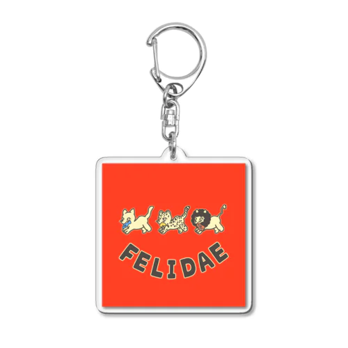 felidae!（ネコ科！） Acrylic Key Chain