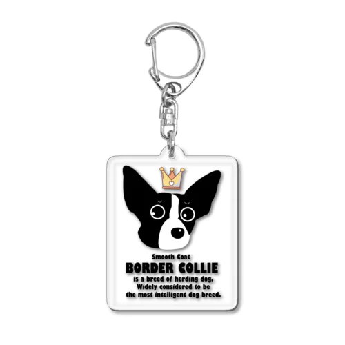 スムースボーダーコリー   smoothbordercollie アクリルキーホルダー