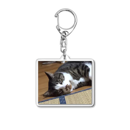 たんぼくん2 Acrylic Key Chain