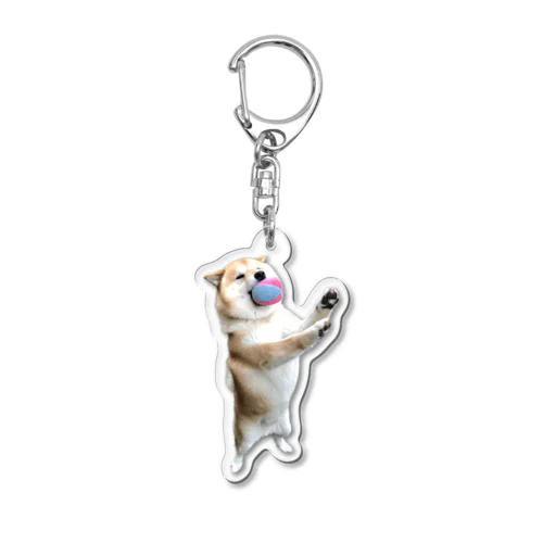 shibaholmes 柴犬ホームズ4 Acrylic Key Chain