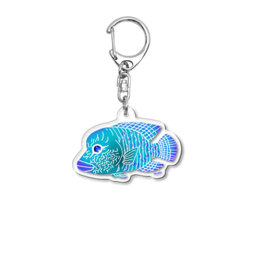 ナポレオンフィッシュ Acrylic Key Chain