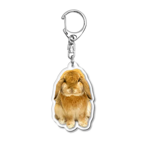 たれ耳うさぎのもこ Acrylic Key Chain