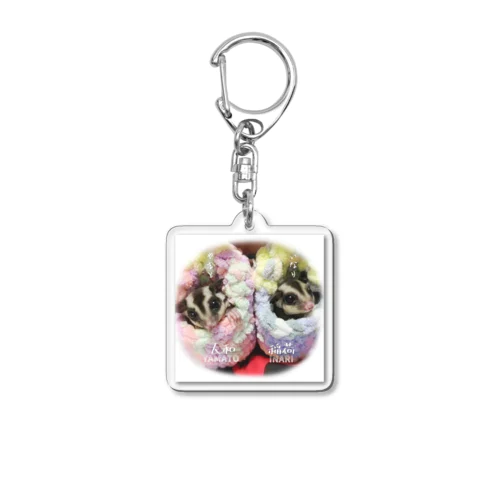 Sugar glider babies! Acrylic Key Chain