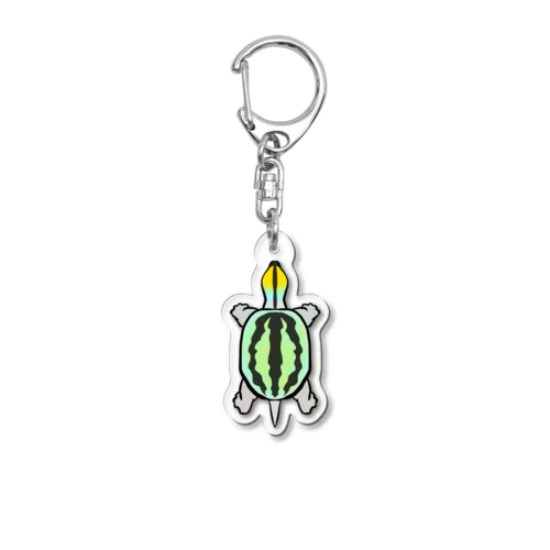 ビルマオオセタカガメ Acrylic Key Chain