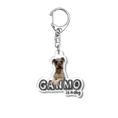 がんもは犬です Acrylic Key Chain