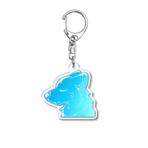 綺麗なキーホルダー！ Acrylic Key Chain