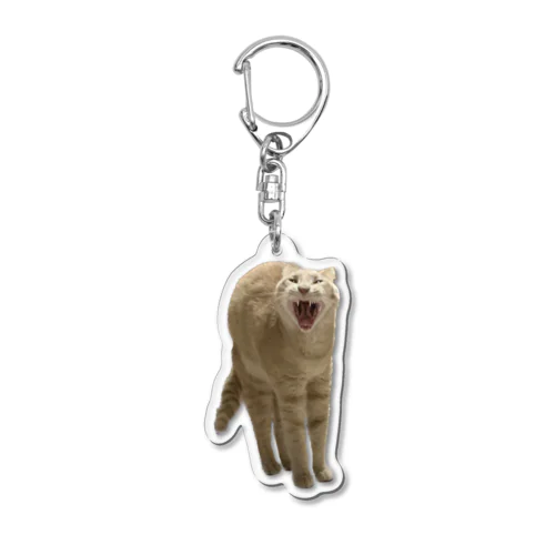 あくび猫のシロ Acrylic Key Chain