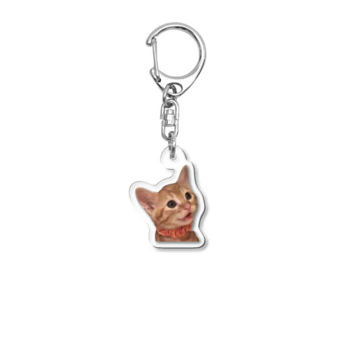 とらねこのリョウくん Acrylic Key Chain